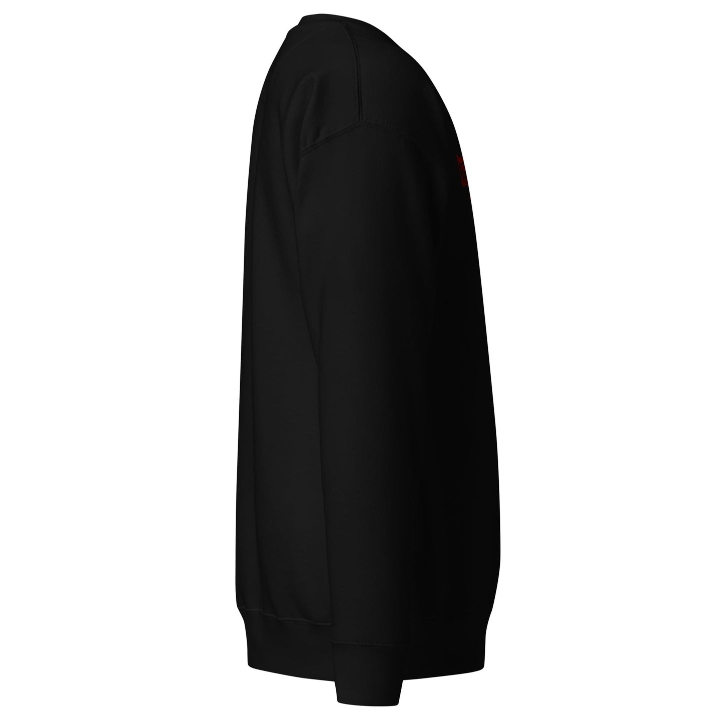 FDLS Sweater - "C´est Sarrebruck" - FRÈRES DE LA SARRES
