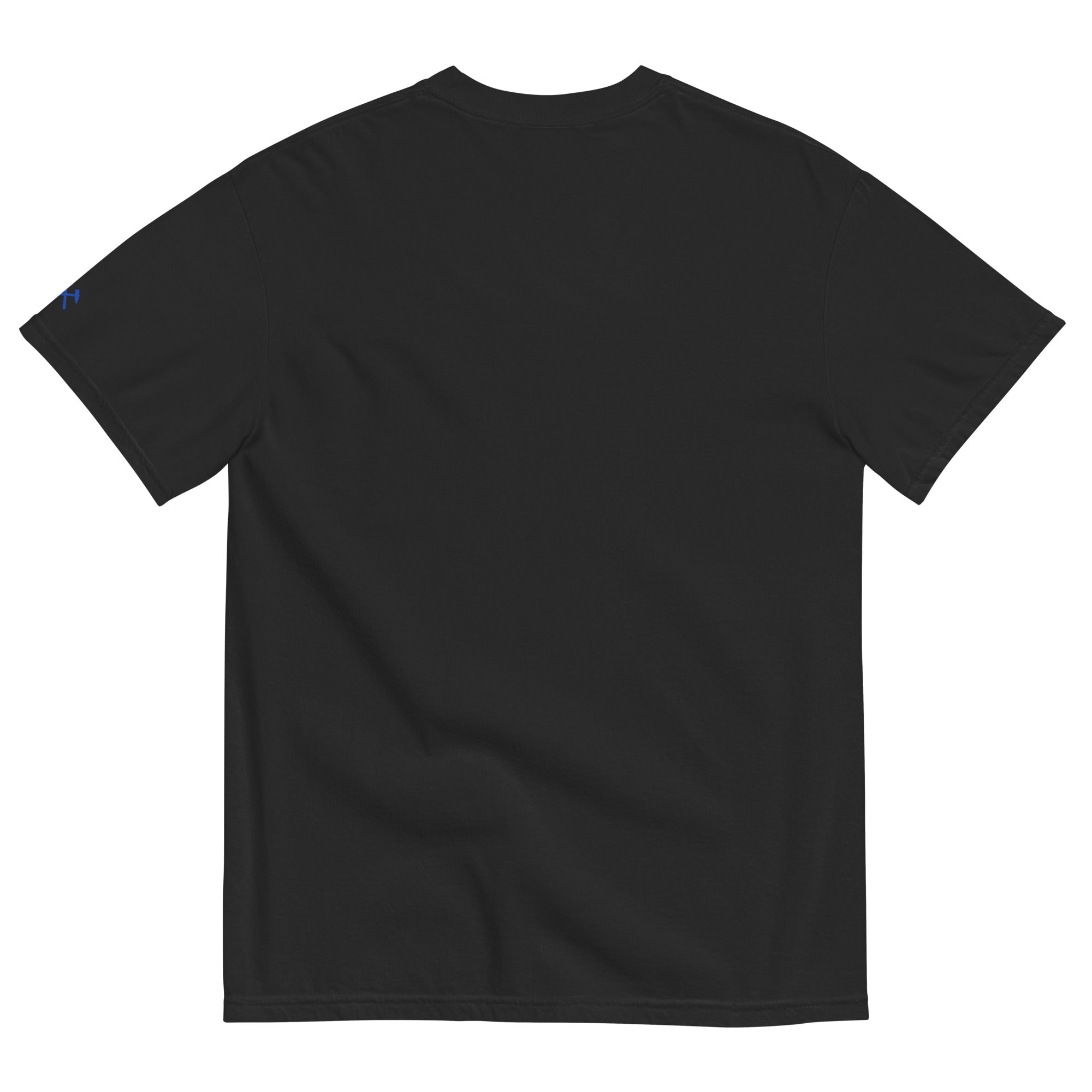 Frères de la Sarre Saarbrücken T-Shirt mit dem blauen Bleu et Noir Schriftzug und den Saarbrücker Löwen in schwarz - Back