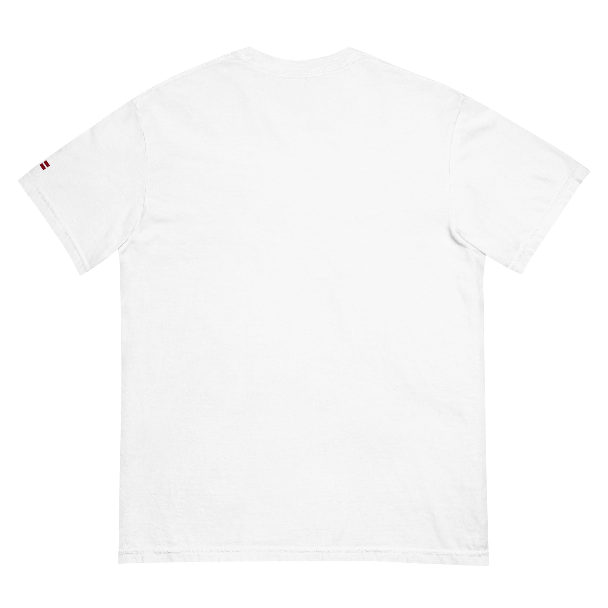 Frères de la Sarre Saarbrücken Shirt - C´est Sarrebruck im hellblauen Retro Design auf weißem Streetwear Shirt Rückenansicht